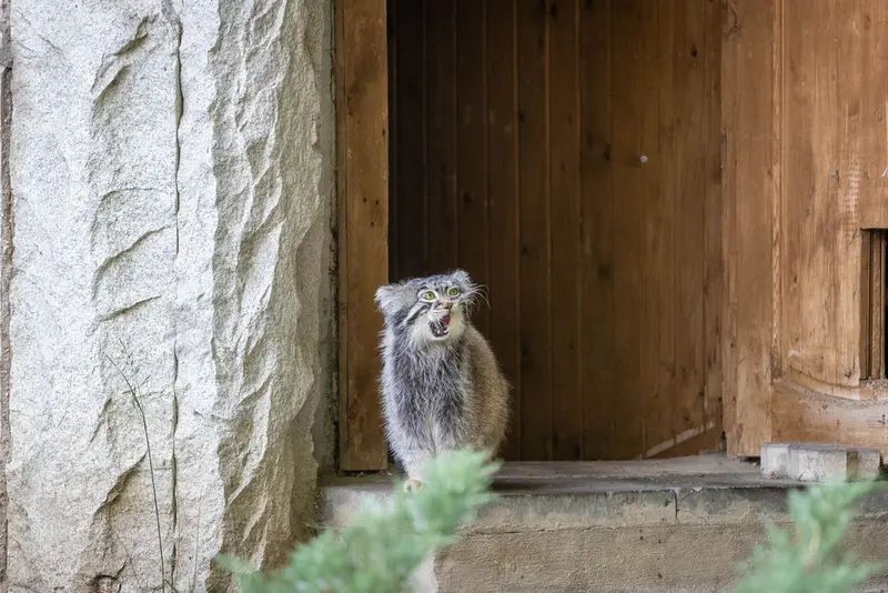 A photograph of Timofey in Moscow zoo
