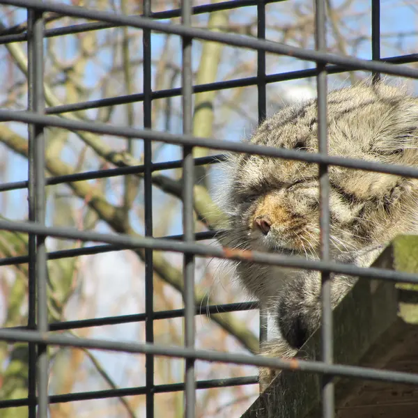 A photograph of Jonathan in Magdeburg Zoo