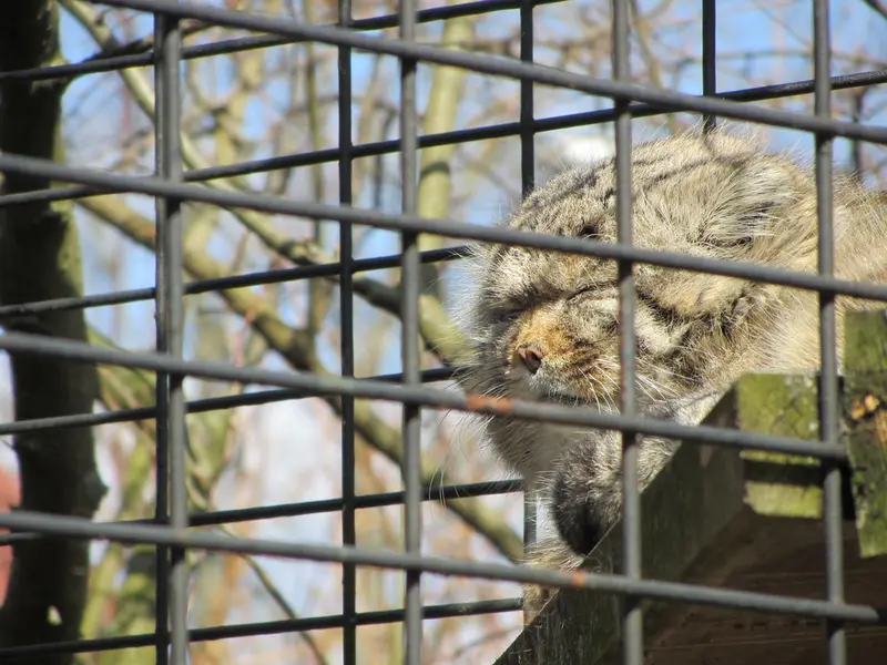 A photograph of Jonathan in Magdeburg Zoo