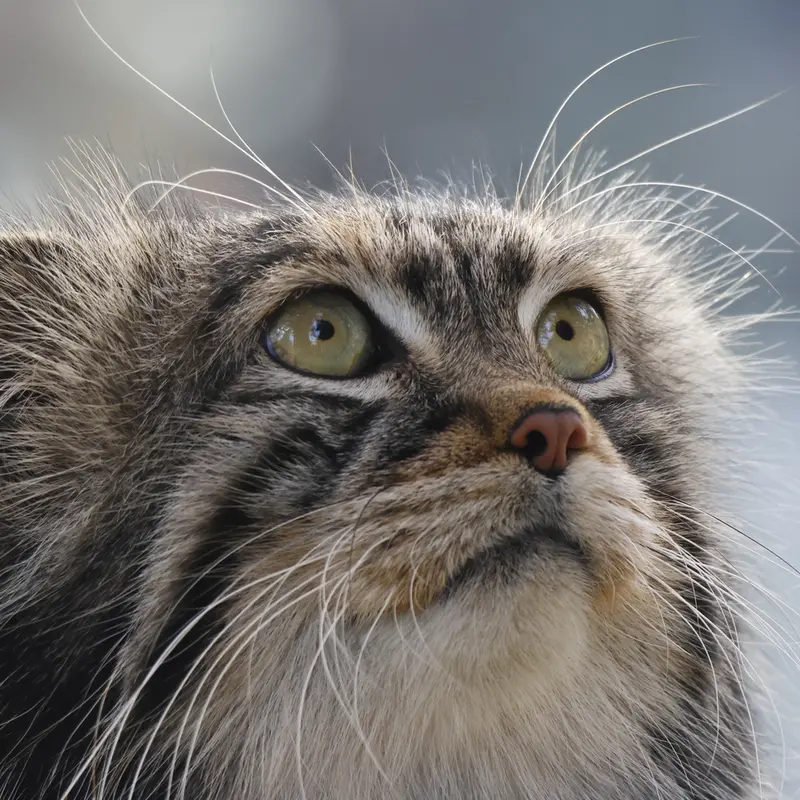 A photograph of Timofey in Moscow zoo
