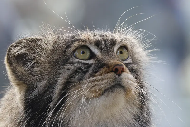 A photograph of Timofey in Moscow zoo