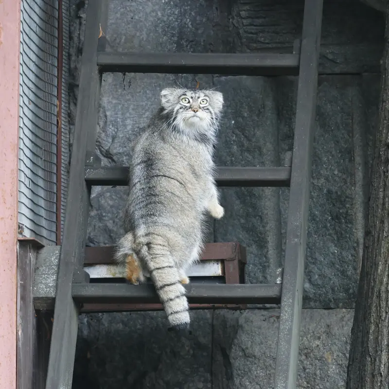 A photograph of Timofey in Moscow zoo