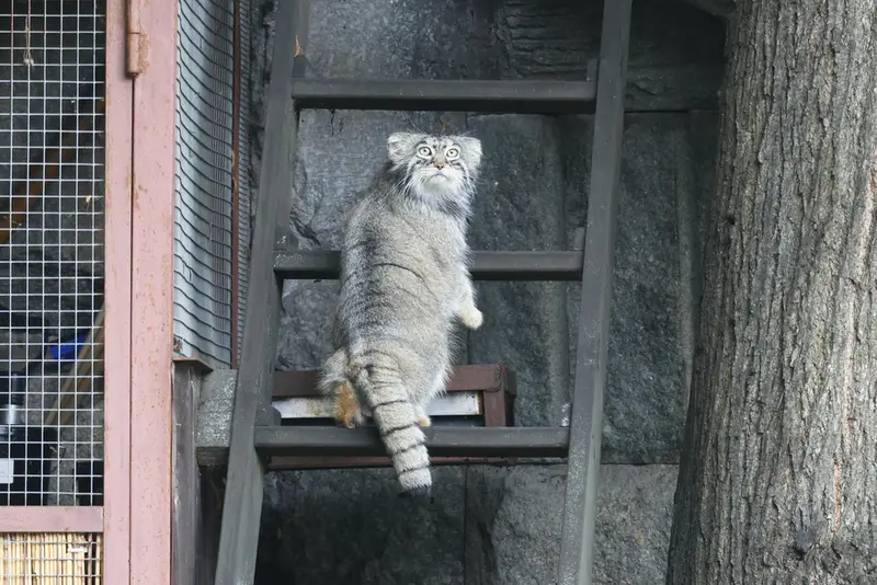 A photograph of Timofey in Moscow zoo