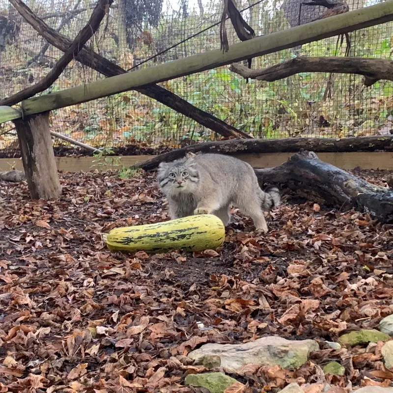 A photograph of Dean in Oglebay Good Zoo