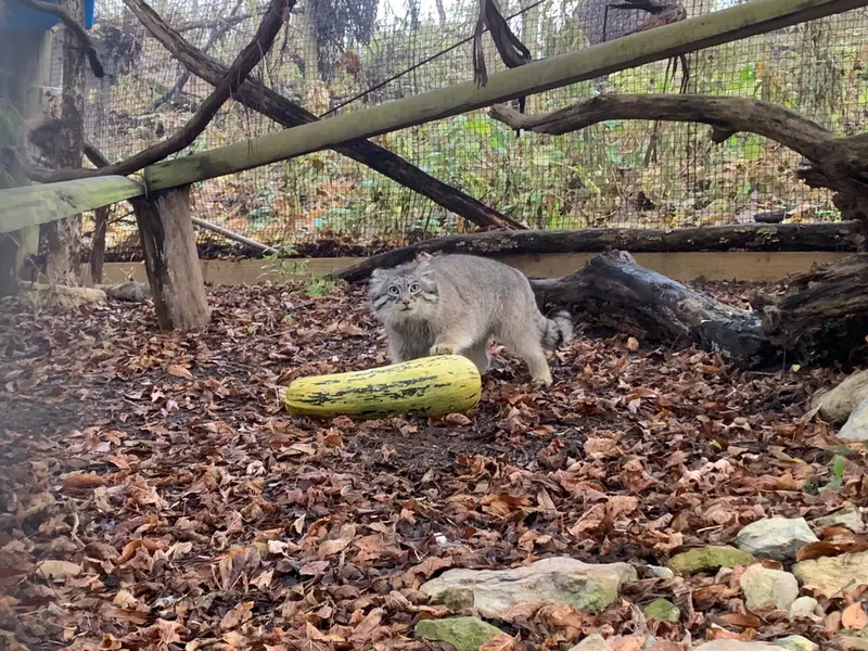 A photograph of Dean in Oglebay Good Zoo