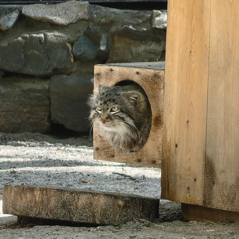 A photograph of Leon in Novosibirsk Zoo