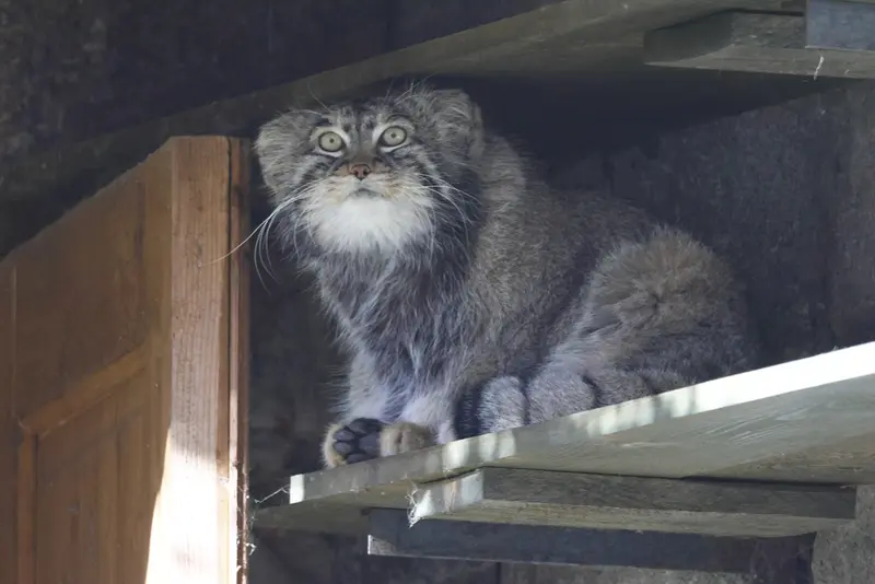 A photograph of Timofey in Moscow zoo