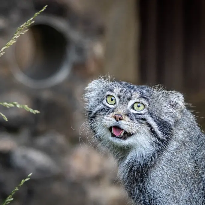 A photograph of Timofey in Moscow zoo