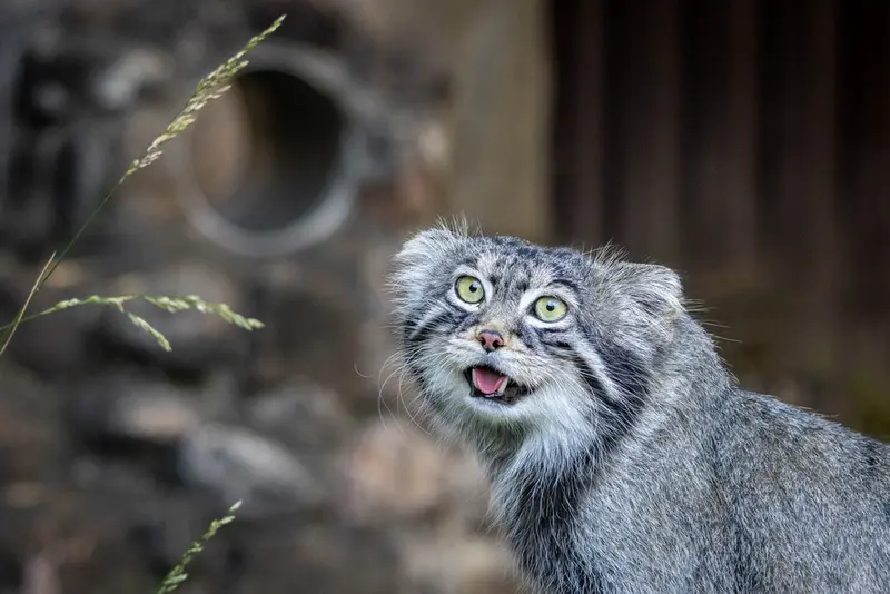 A photograph of Timofey in Moscow zoo
