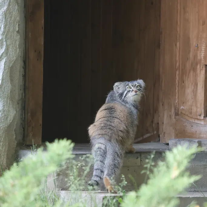 A photograph of Timofey in Moscow zoo