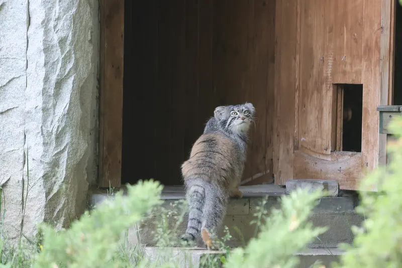 A photograph of Timofey in Moscow zoo