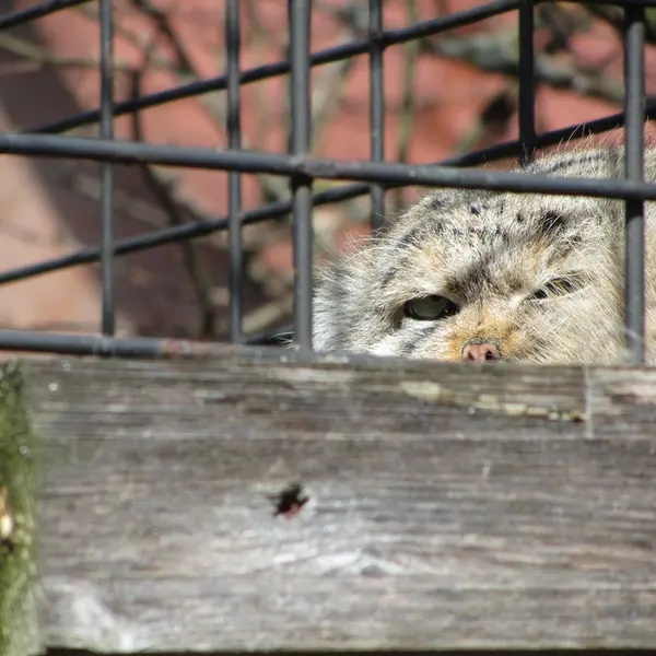 A photograph of Jonathan in Magdeburg Zoo