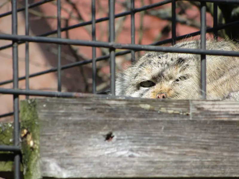 A photograph of Jonathan in Magdeburg Zoo