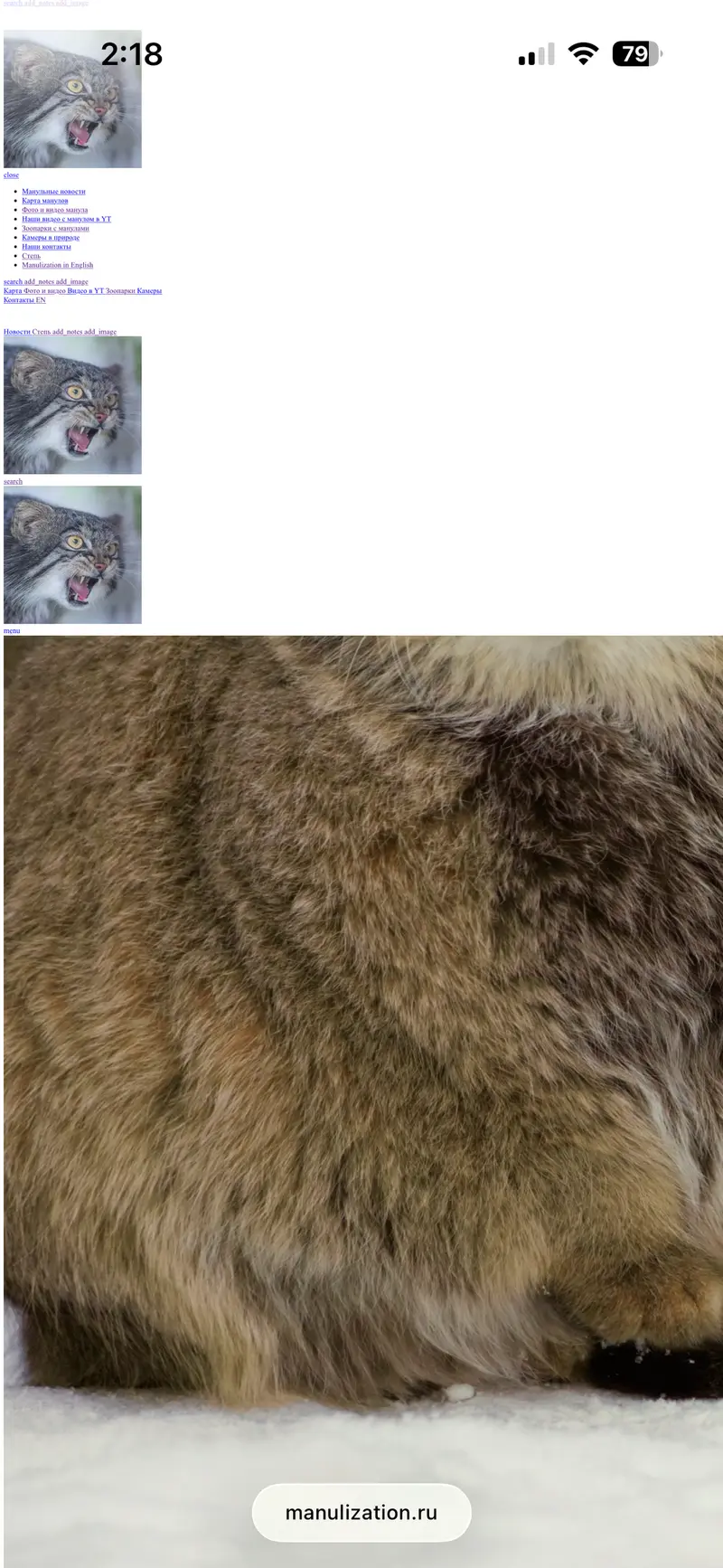 manulization bug😺