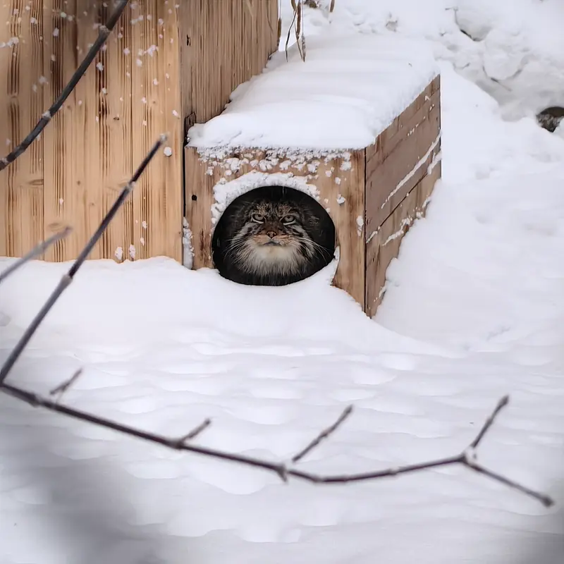 A photograph of George in Novosibirsk Zoo