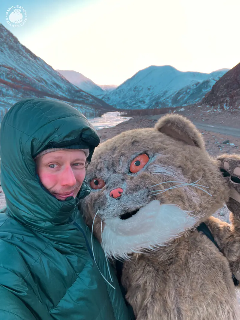 A photograph of a Pallas's cat