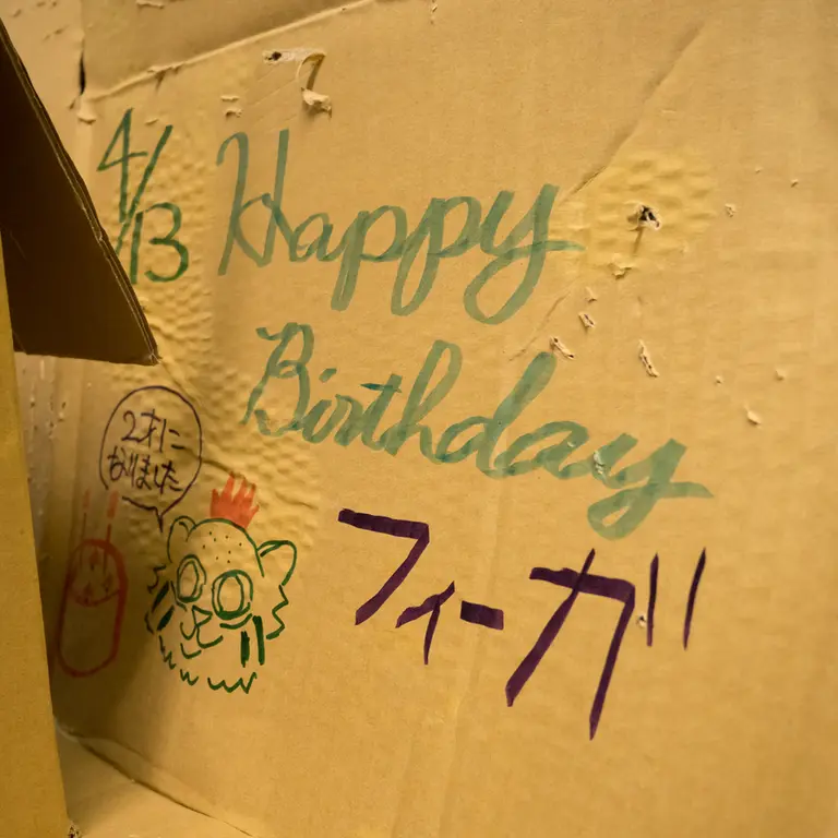 A photograph of Figa in Nogeyama Zoo