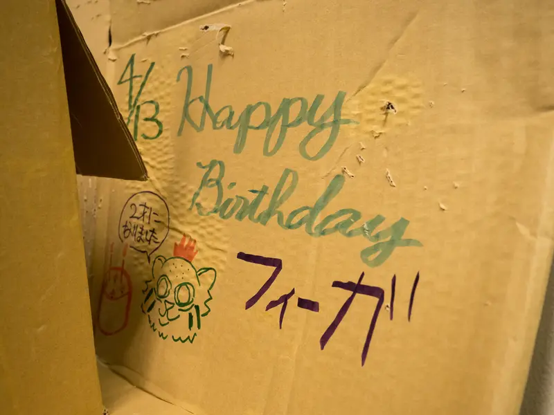 A photograph of Figa in Nogeyama Zoo