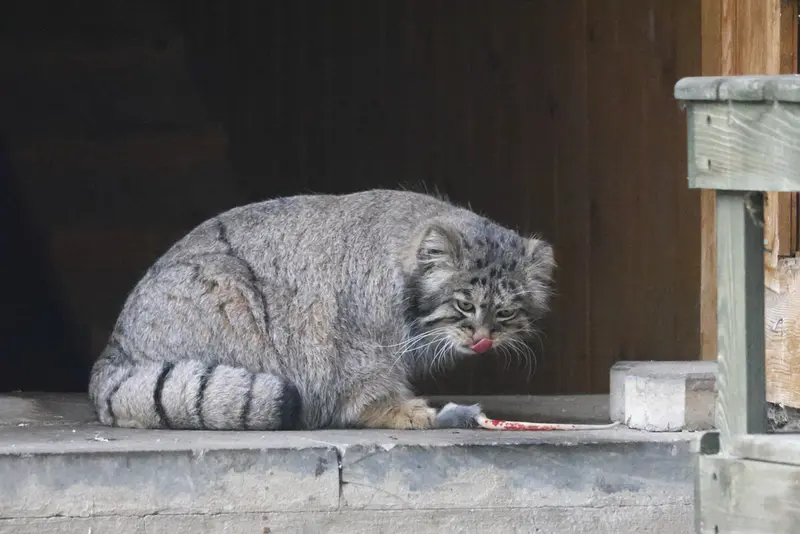 A photograph of Timofey in Moscow zoo