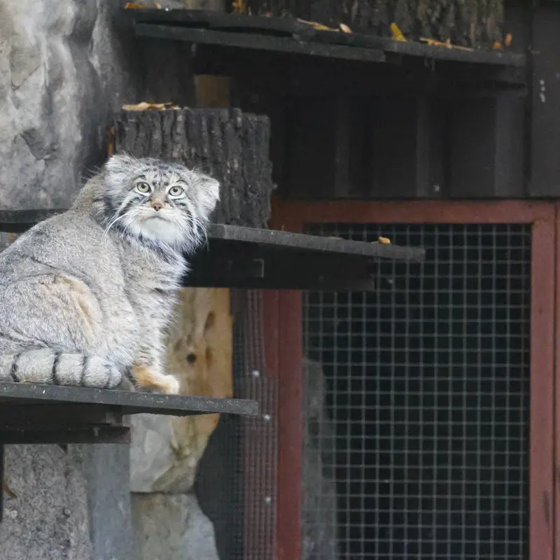 A photograph of Timofey in Moscow zoo