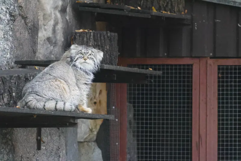 A photograph of Timofey in Moscow zoo