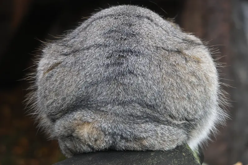A photograph of Timofey in Moscow zoo