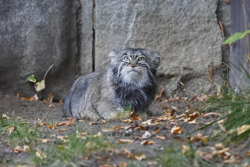 A photograph of Timofey in Moscow zoo