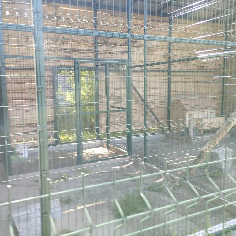 A photograph of Pepe and Chip in Barnaul zoo “Lesnaya skazka”