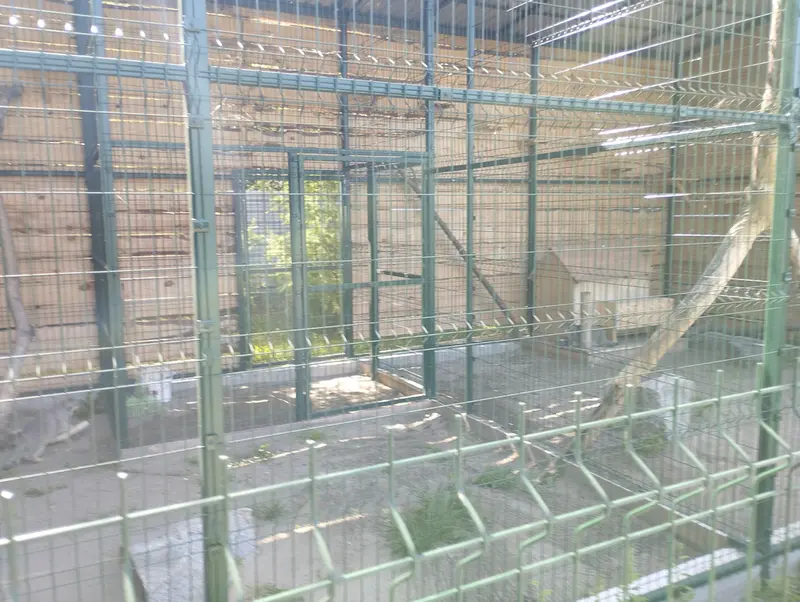 A photograph of Pepe and Chip in Barnaul zoo “Lesnaya skazka”