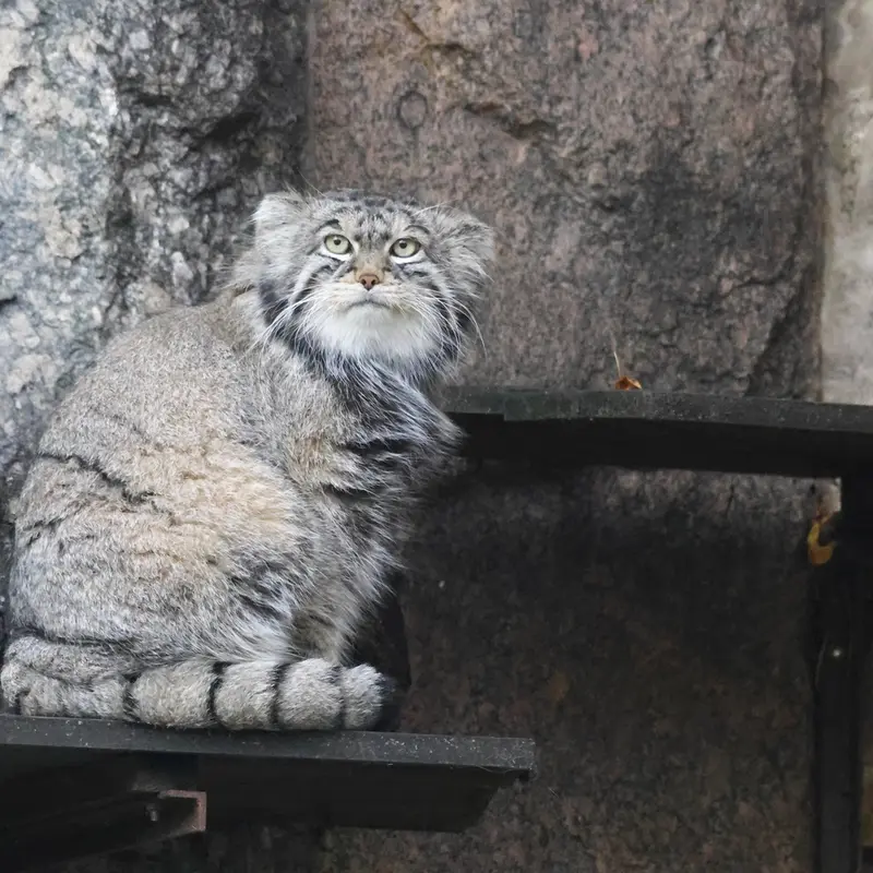 A photograph of Timofey in Moscow zoo
