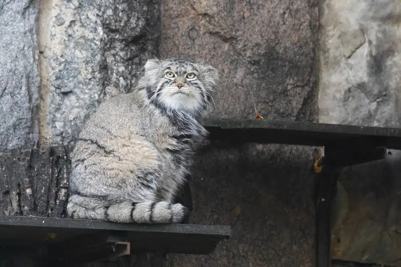 A photograph of Timofey in Moscow zoo