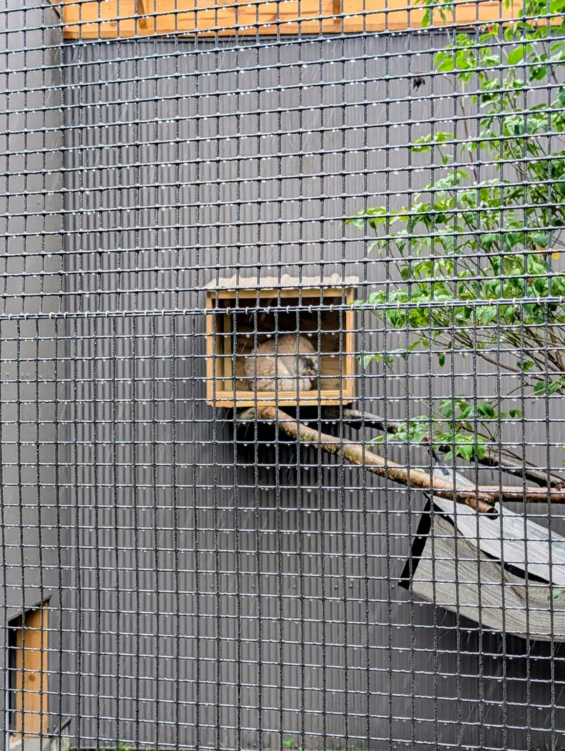 A photograph of Reza in Elmwood Park Zoo