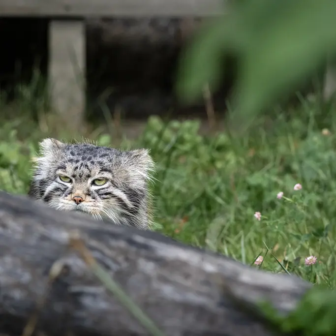 A photograph of Timofey in Moscow zoo