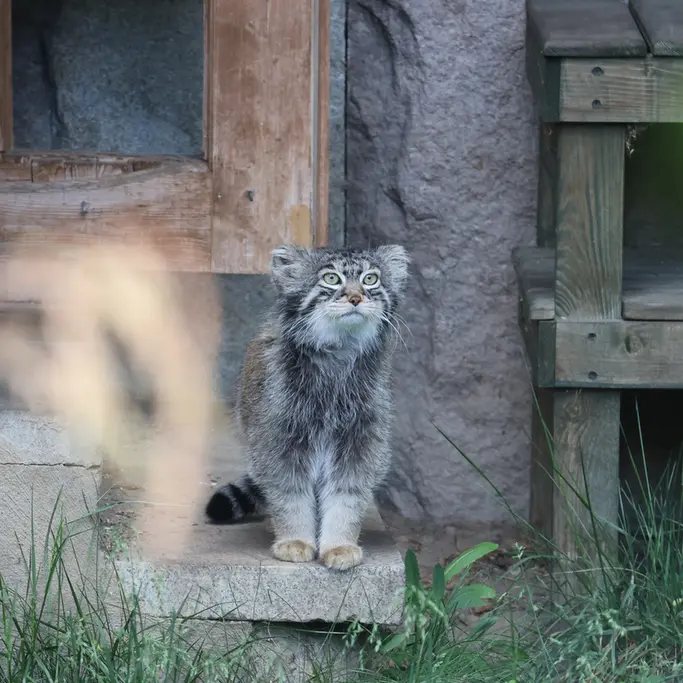 A photograph of Timofey in Moscow zoo