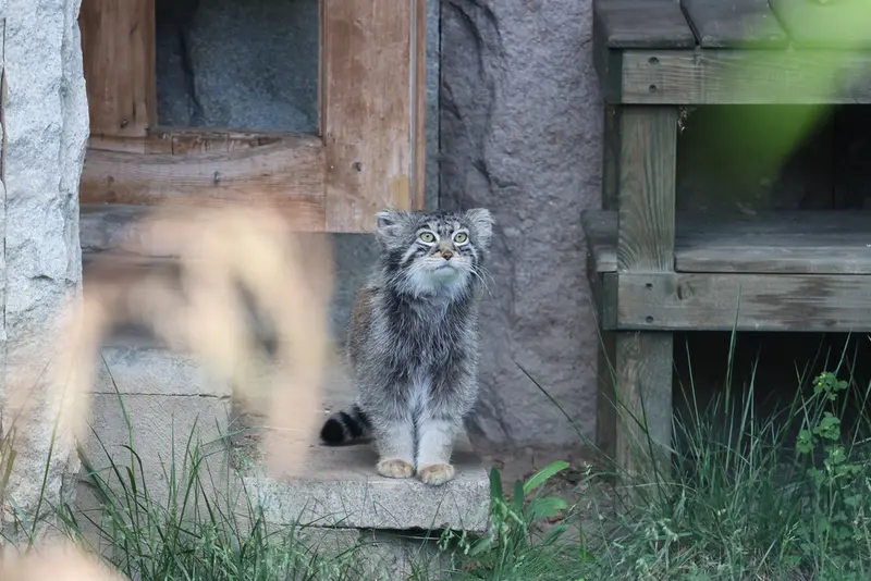 A photograph of Timofey in Moscow zoo
