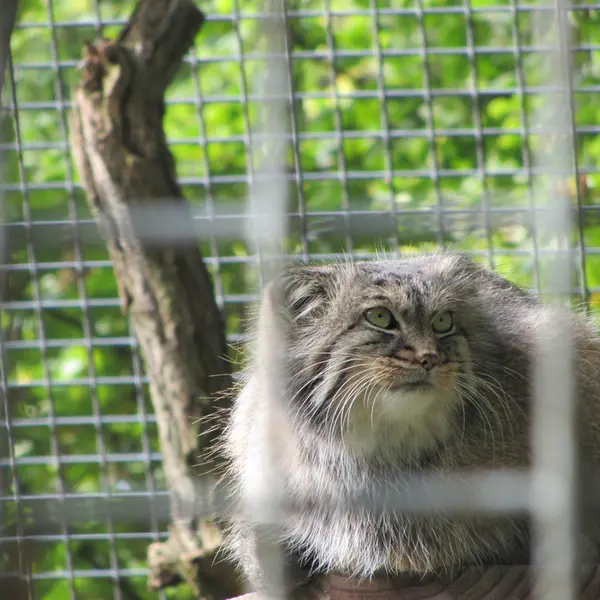 A photograph of Karl-Heinz in Saarbrücken Zoo