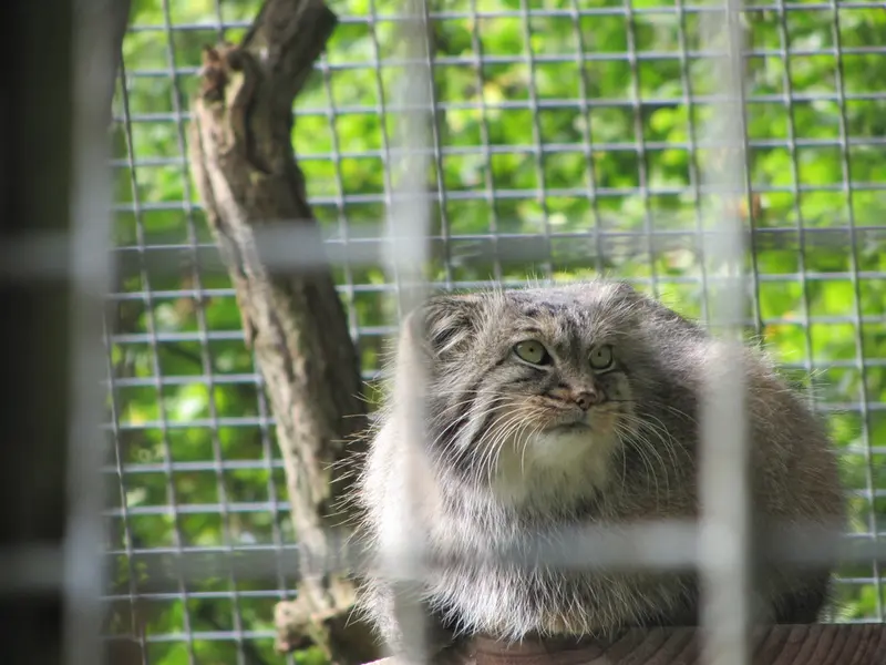 A photograph of Karl-Heinz in Saarbrücken Zoo