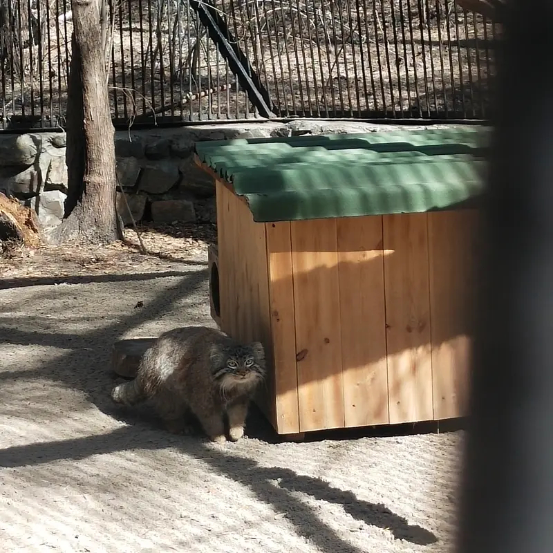 A photograph of Leon in Novosibirsk Zoo