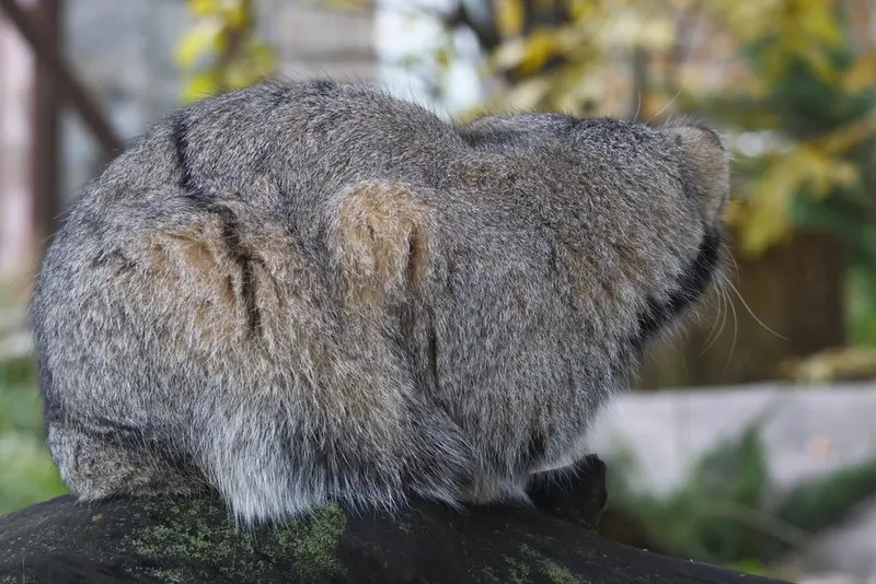 A photograph of Timofey in Moscow zoo