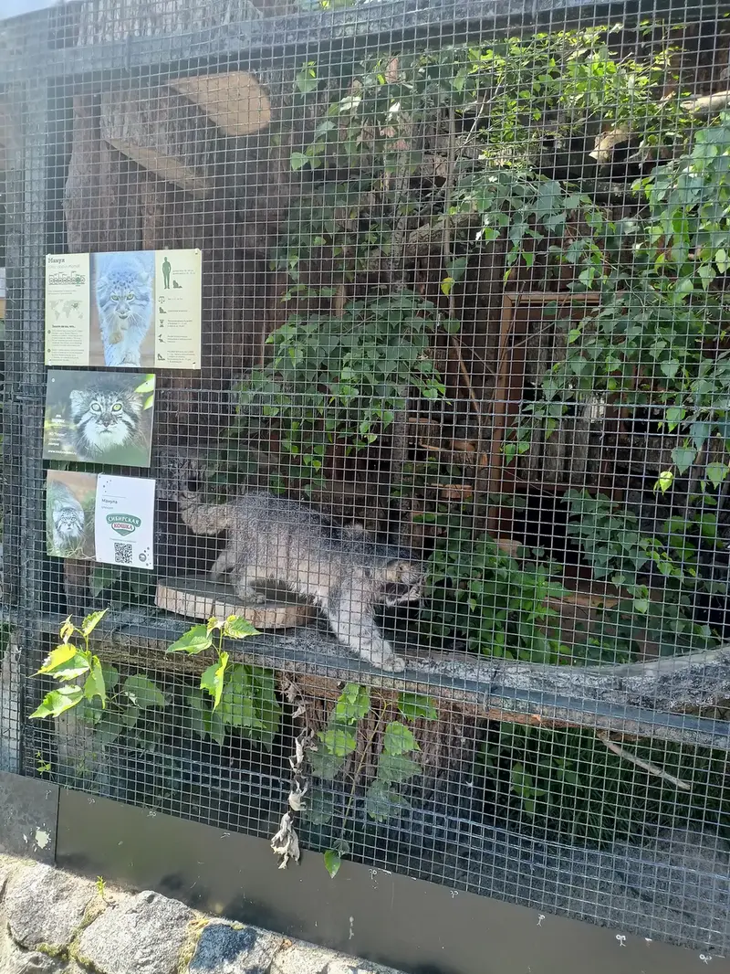 A photograph of Sven in Leningrad zoo