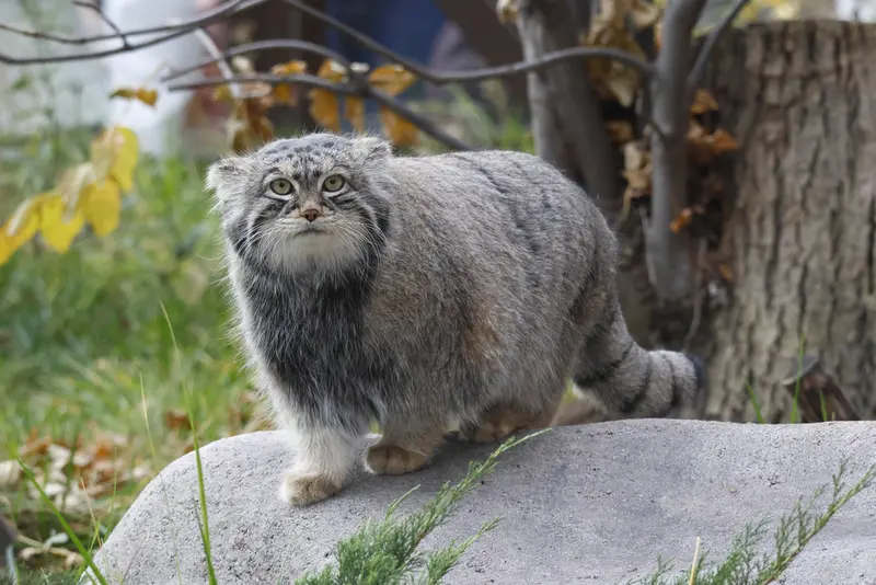 A photograph of Timofey in Moscow zoo