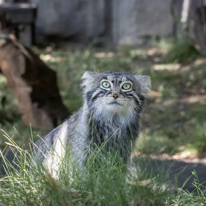 A photograph of Timofey in Moscow zoo