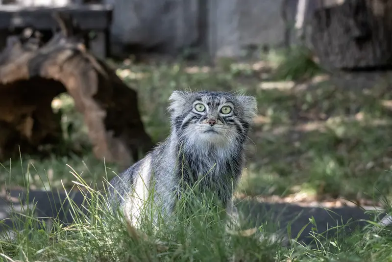A photograph of Timofey in Moscow zoo