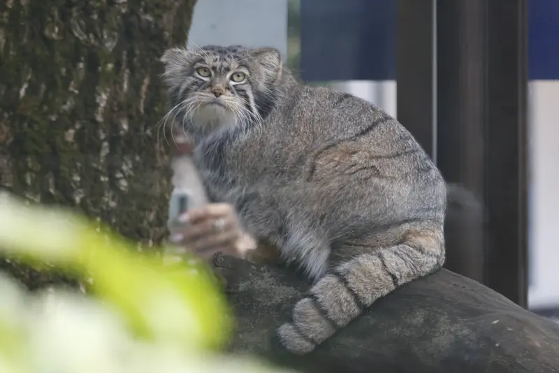 A photograph of Timofey in Moscow zoo
