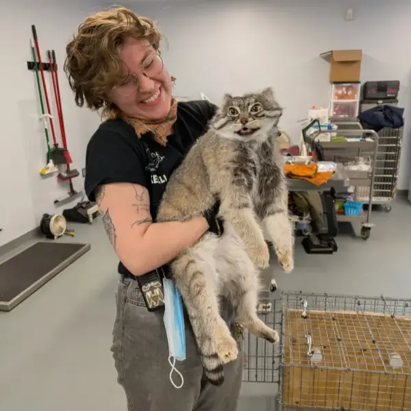 A photograph of Pabu in Lake Superior Zoo