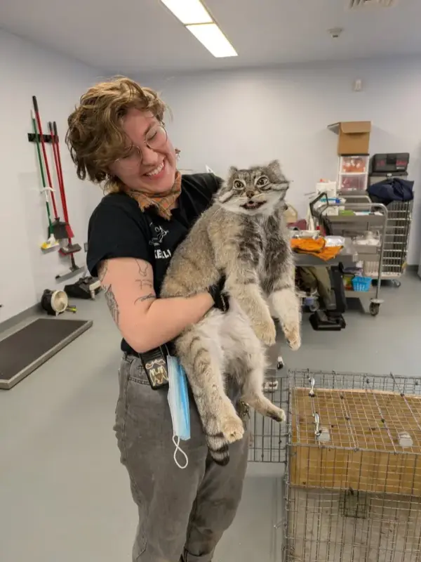 A photograph of Pabu in Lake Superior Zoo