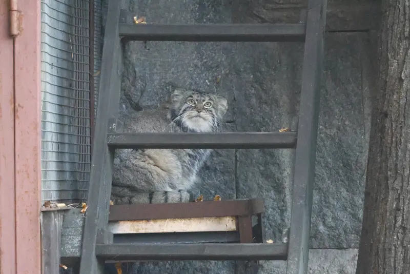 A photograph of Timofey in Moscow zoo