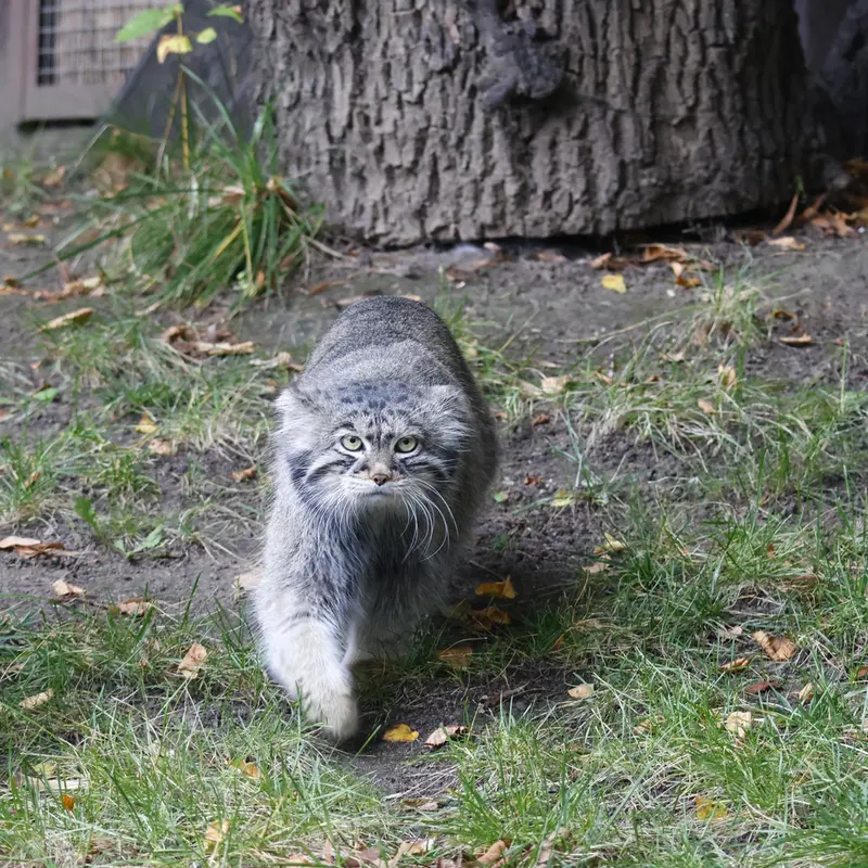 A photograph of Timofey in Moscow zoo