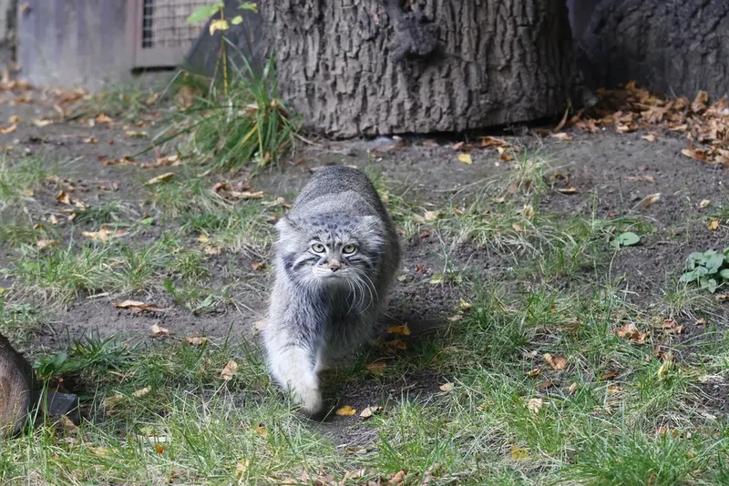 A photograph of Timofey in Moscow zoo