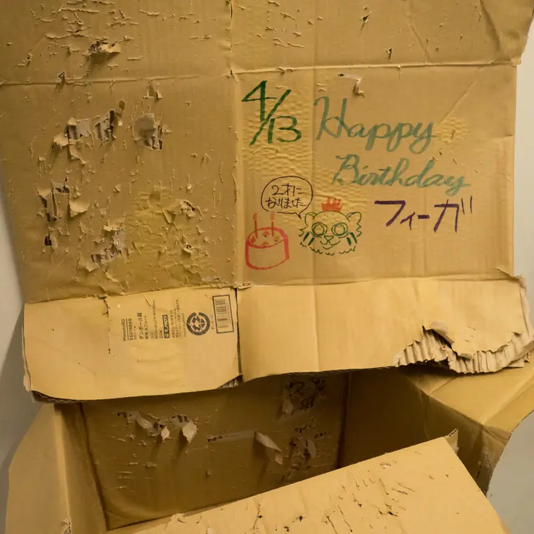 A photograph of Figa in Nogeyama Zoo